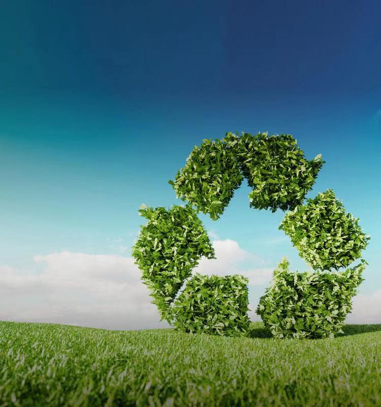 Z6·尊龙「中国」官方网站