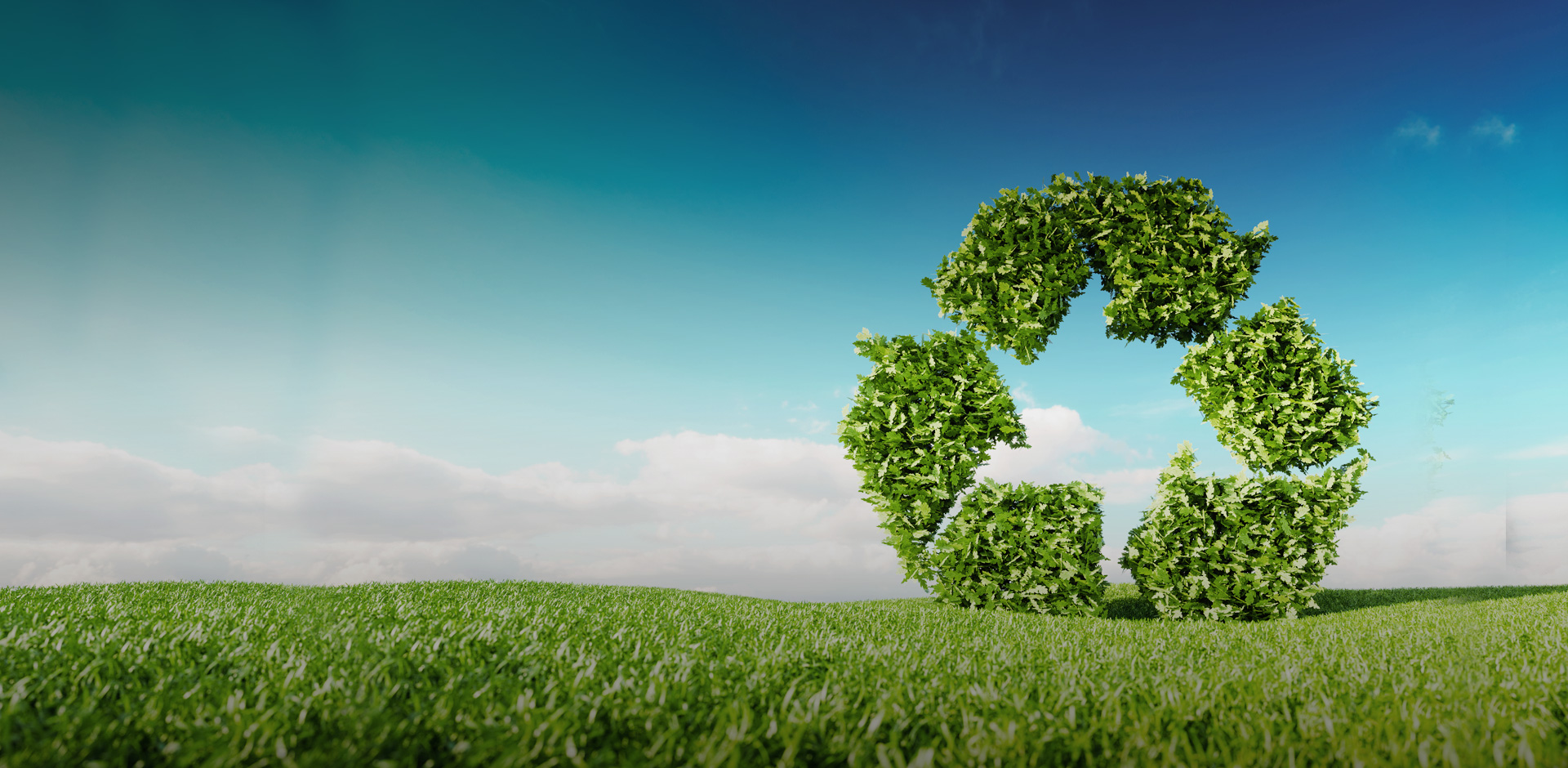 Z6·尊龙「中国」官方网站