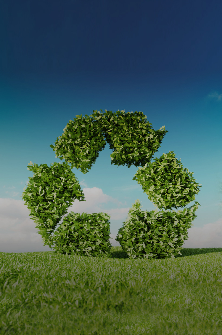 Z6·尊龙「中国」官方网站